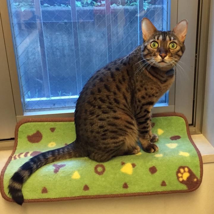 A20381d4 0d10 45ae 80c7 8dbe3962c4c1