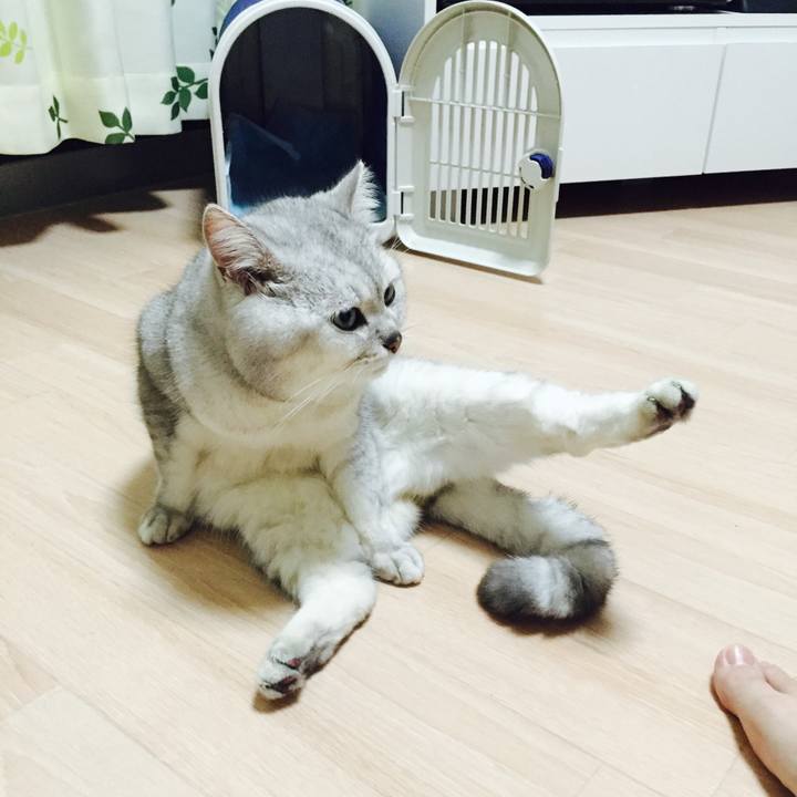 A2038f51 abda 4495 a7b9 611cf053f086