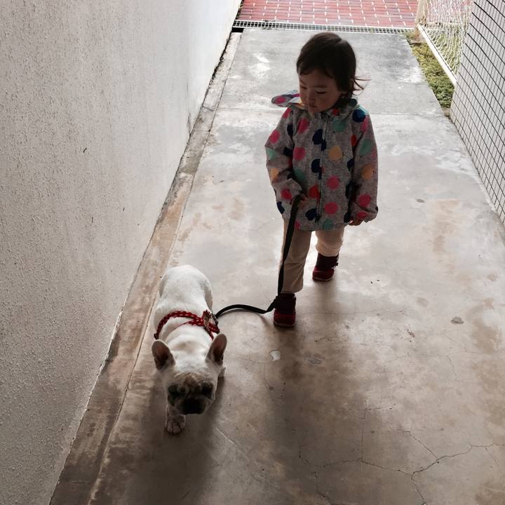 A20394aa f082 4866 b8a4 ba5b323c0e65