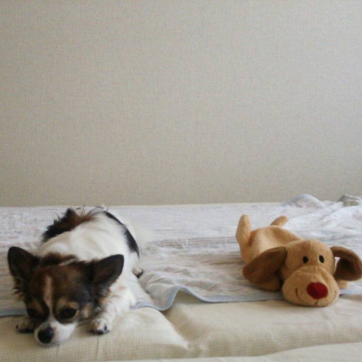 A2042249 3a56 43ee b288 bcabc8cdcf7e