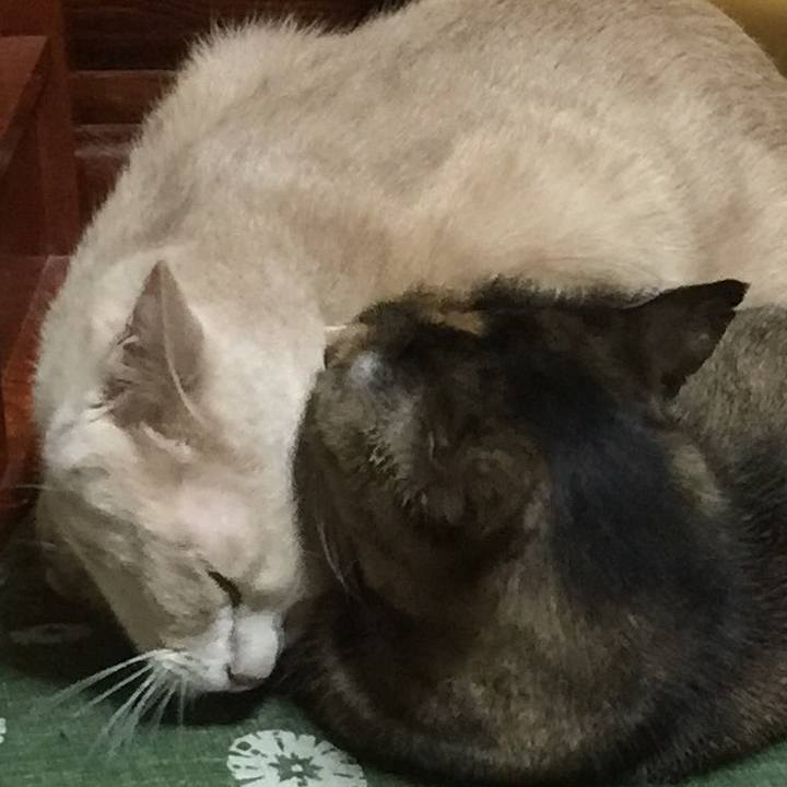 A205d71b 1e8c 4f83 9b07 ddd0ea232fdb