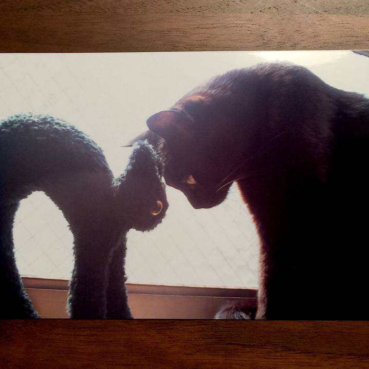 A20602f3 6327 4e8d 9199 507979e61817