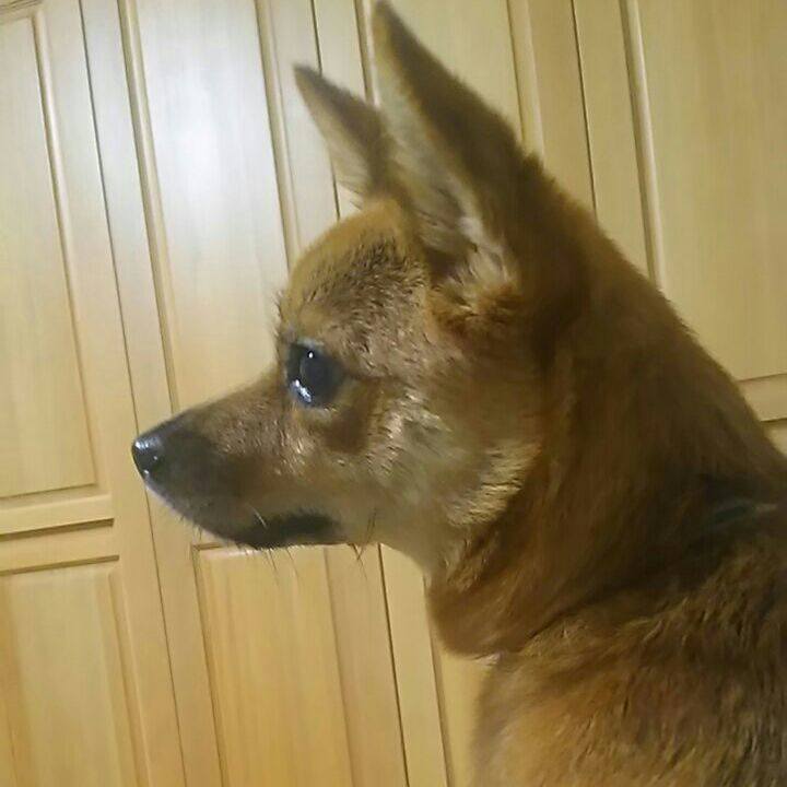 A2062678 3e19 4628 9e1d 8eba6d2b1ae0