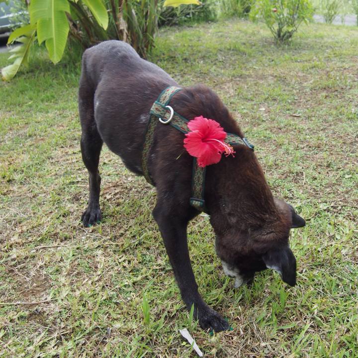 A2063fd5 ffcb 46e7 803b 66069b3dc4ef