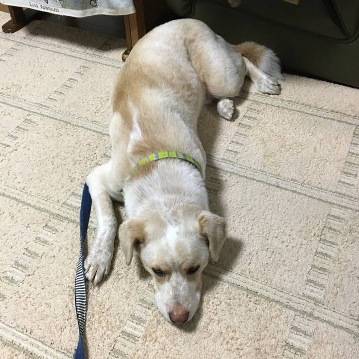 A2068742 df08 47ff 894f 91424118cb68