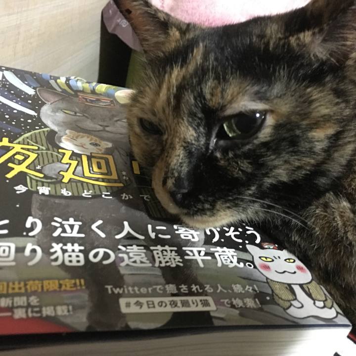 A206d37b c876 473a 9e80 e04e0b3c9d96