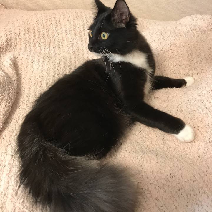 A20771f2 eb4e 4599 ba45 b8c870eab3d8