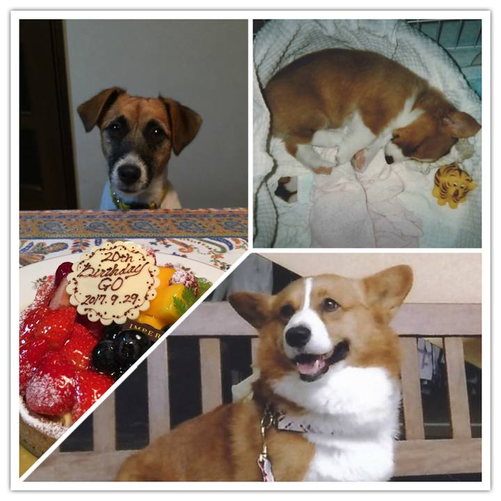 A2080707 9a6d 472f af9a 02a647b63036