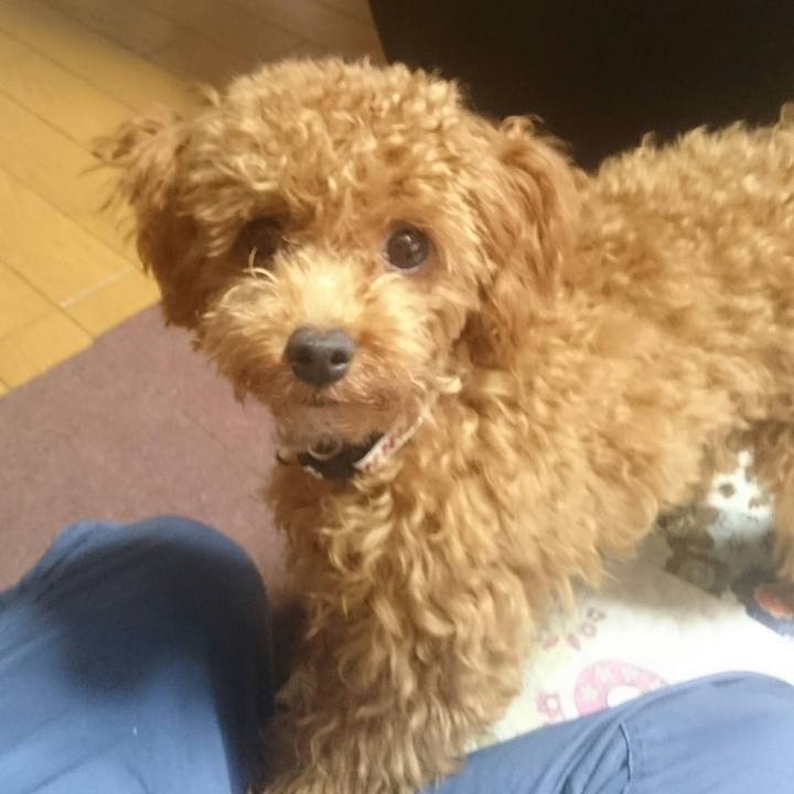 A208607d 4bfa 4cd9 b697 df53a4080bdf