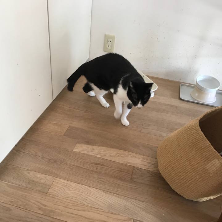 A208bcd5 43d7 44c2 b5d0 04d01e3dab1c