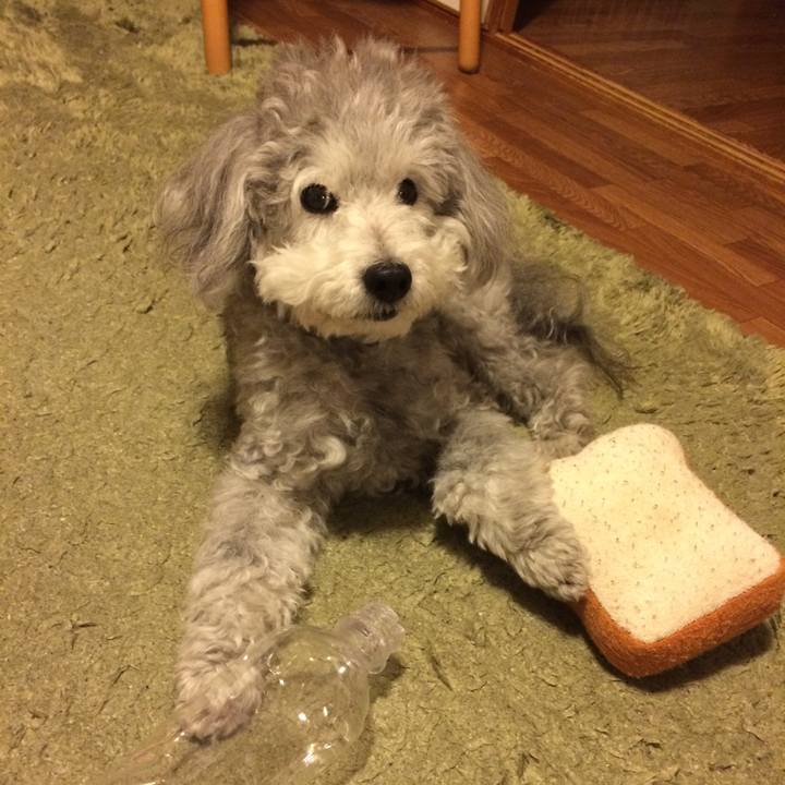 A20940cb 92ea 4009 a8df 3b2d00e27492