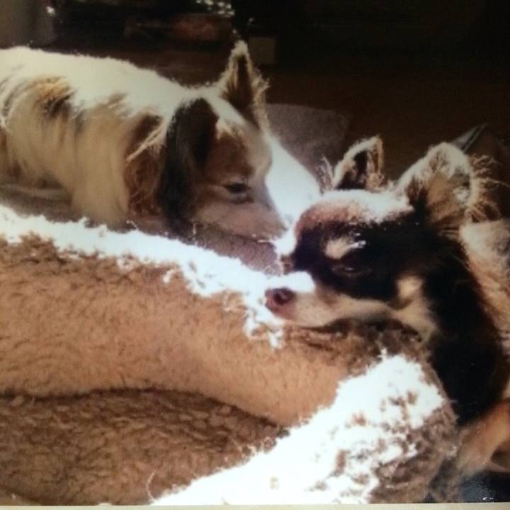 A20a29a5 7b2f 43e7 99e0 5c335cfc2100