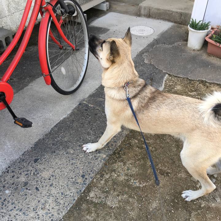 A20a2e21 55f1 4982 a637 566932264993