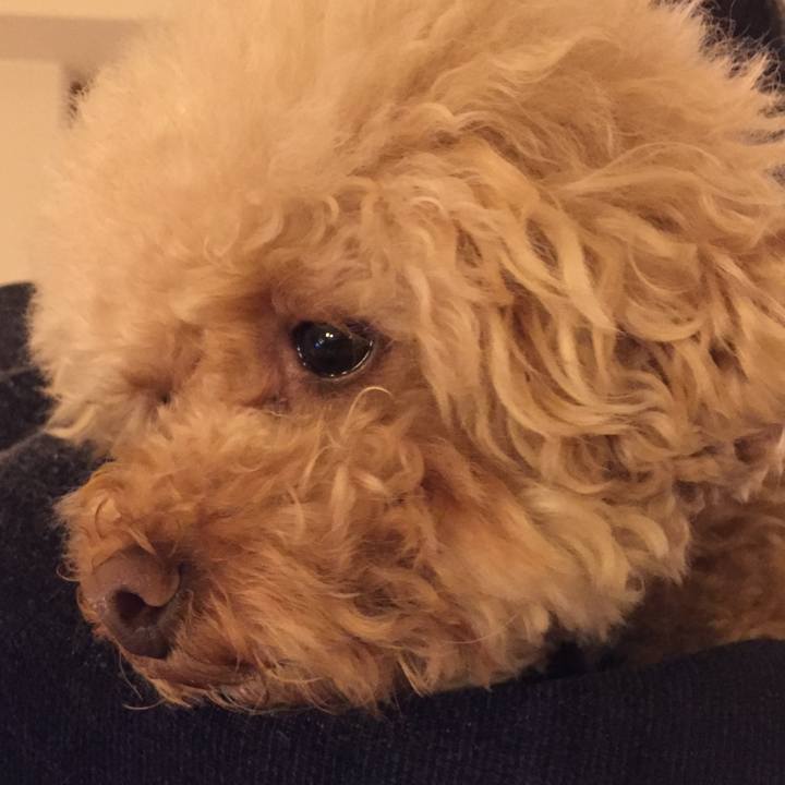 A20a6ad4 4df6 4b4c 876f 5508d30ec6a6