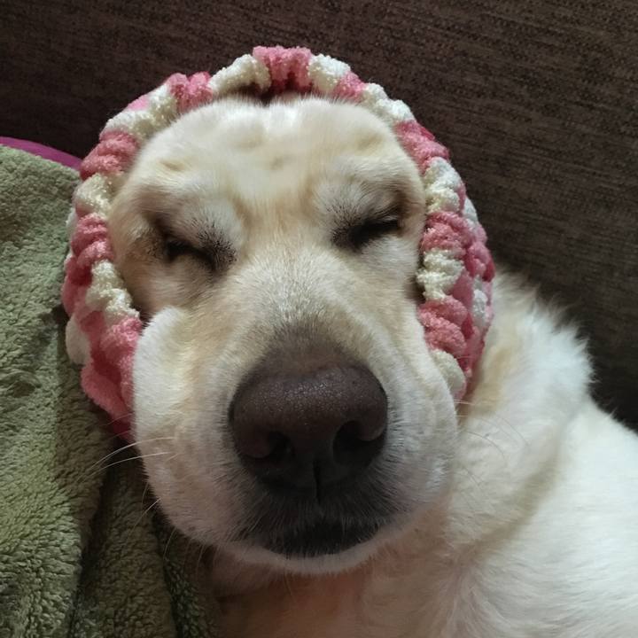 A20ba44d 790a 4598 987d 596841b4e9ff