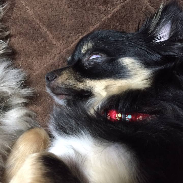 A20c632c 013f 4d35 9d9f 7f287acad956