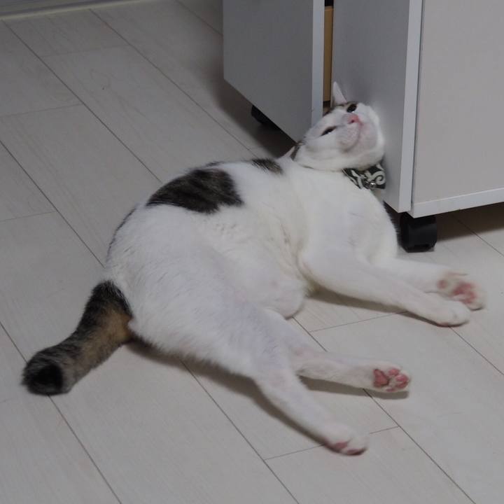 A20c8f6a b78b 4065 9f06 391a4d19adbd