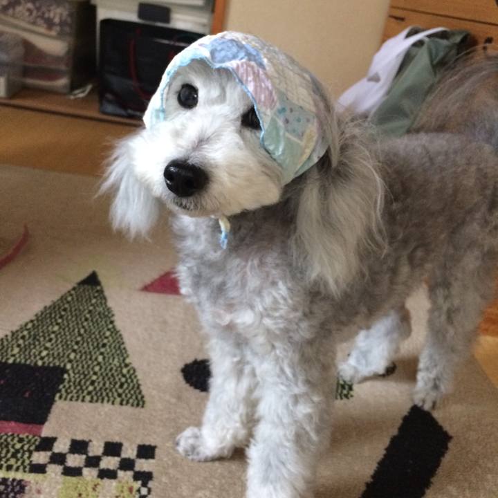 A20d8c3f a6d5 4cfd 84f3 2db8434d30d9