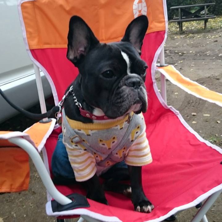 A20dd843 f9d6 42b6 8e1b 8ebf2b0e76df