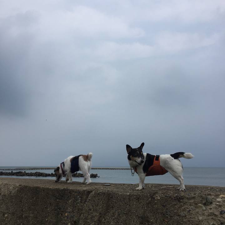 A20e1803 32ee 484c a062 0840750f2bc1