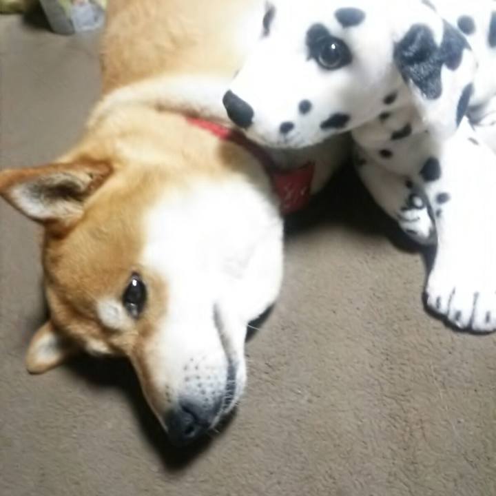 A20e3b8c 36d2 45a1 8532 62e8d126d164