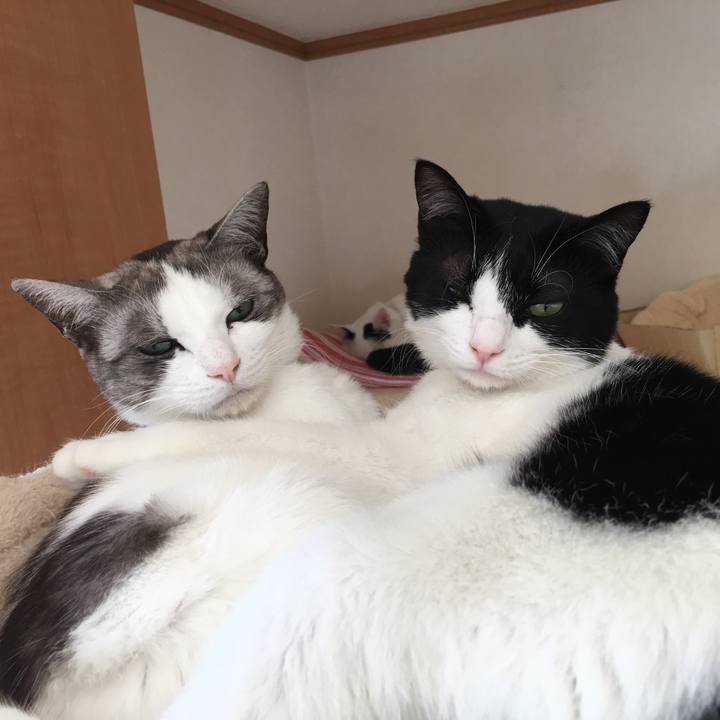 A20e3f52 932f 4f48 a686 4ebbae5ee22b