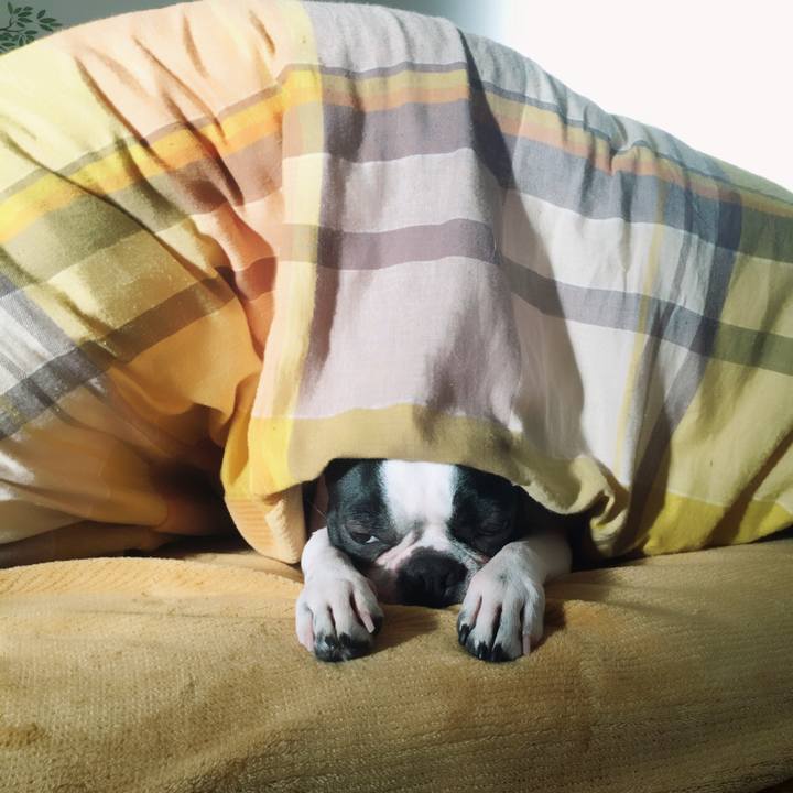 A20e3fb3 24e6 4ea8 9124 bdf927ed6adc