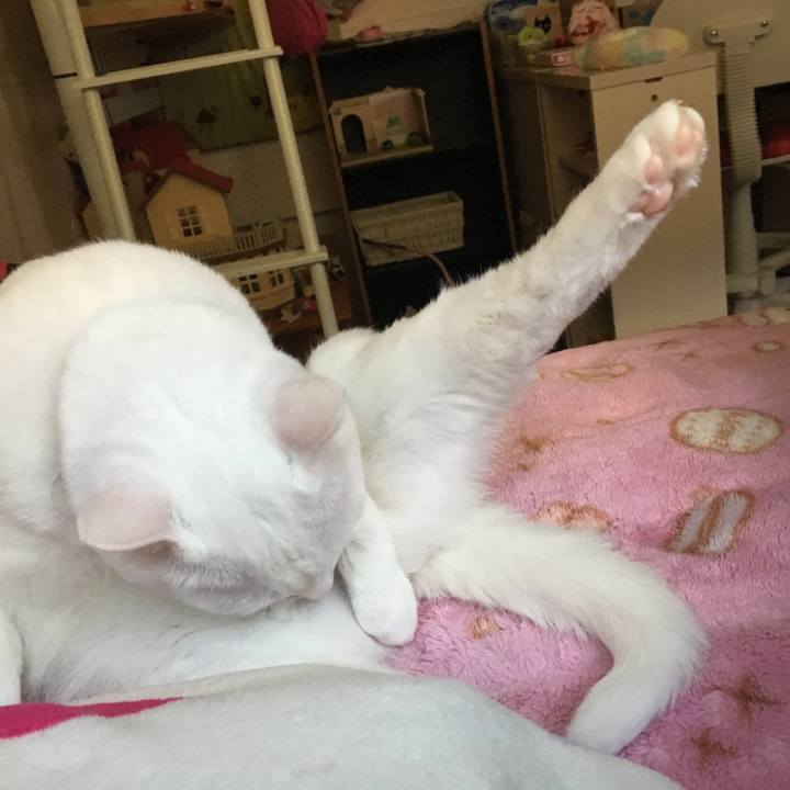 A20e8ae8 c63b 4b31 837b cb5bb052055e