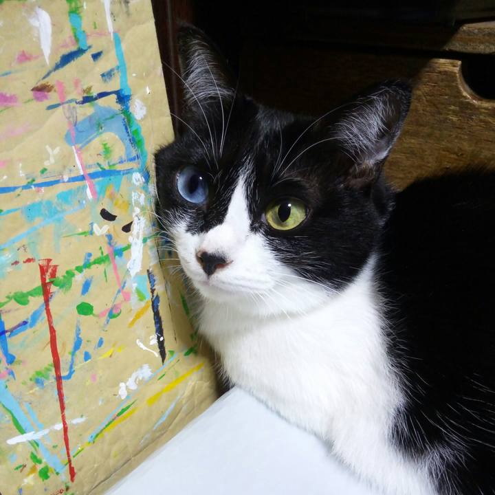 A20f0c75 aefd 4dbe a33b 45df9dc7de10