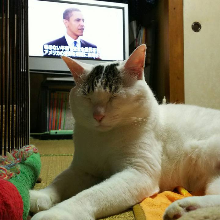 A20f243f 60ae 4e6e 81c1 39e4a4534a3e