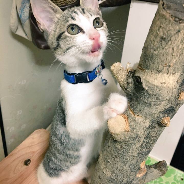 A20f8023 3c2d 4c9f 85e1 e15ac5f886a8