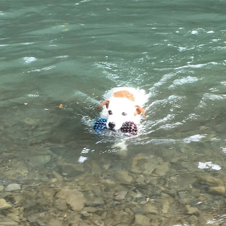 A20fc1eb 263f 4de1 9eaa ed6997de3227