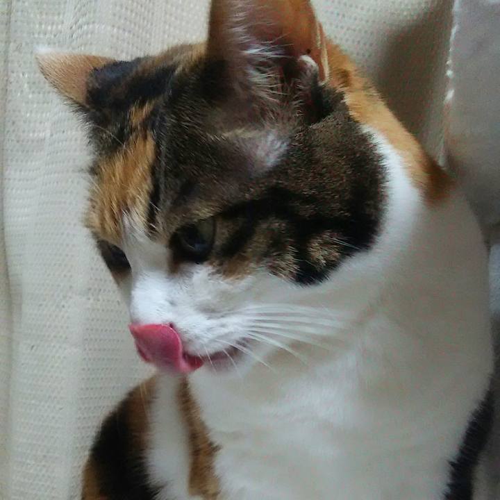 A2100016 27d9 40cb bd96 c65c5b8c3edf