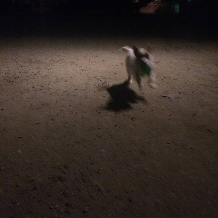 A2104ca5 9e77 409f a251 a8107ad6cc1e