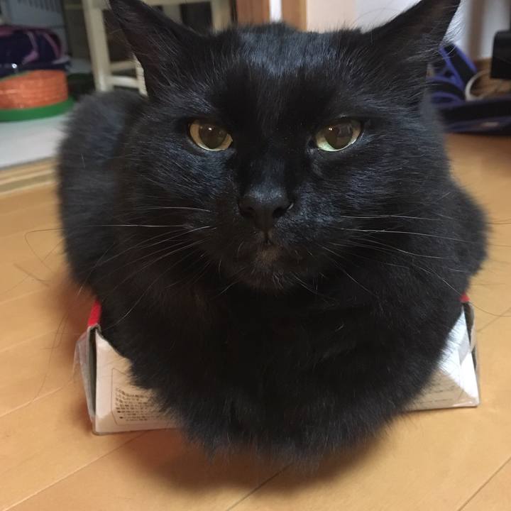 A2110da3 1083 43a1 a184 d2ef61d2545d