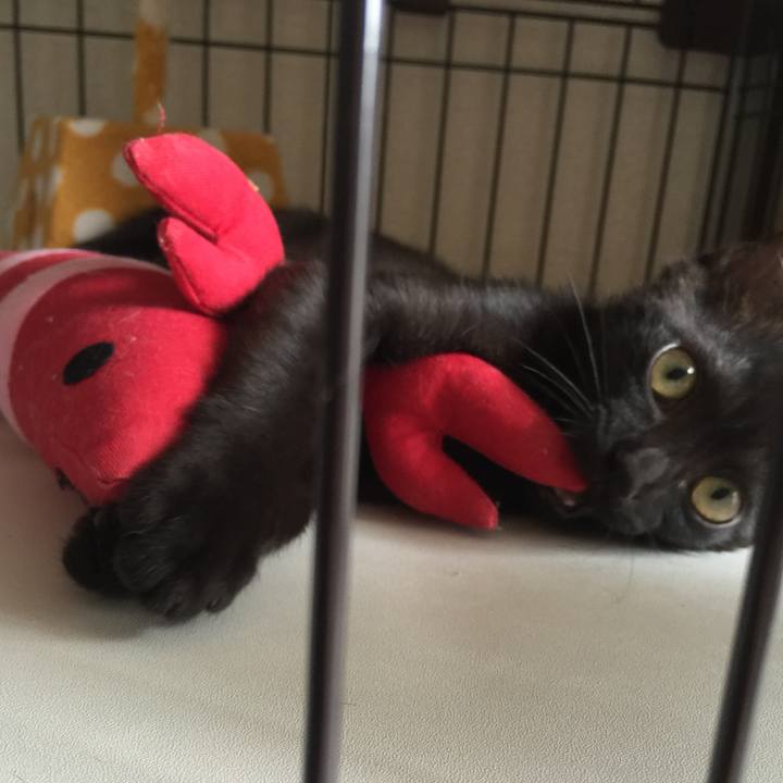 A21153e4 c1e1 4bea 9099 ba91fe589c3f