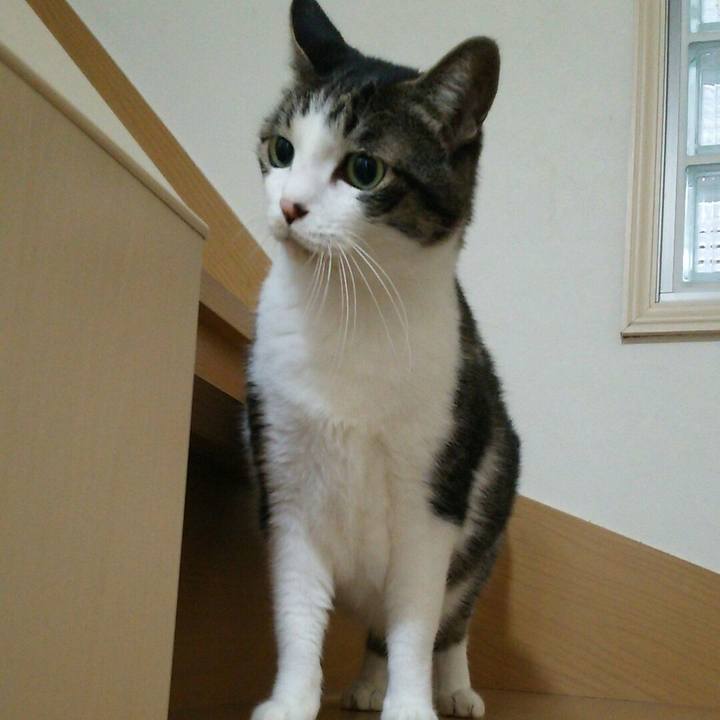 A2115fed b579 4725 ae7b 086dc0955751