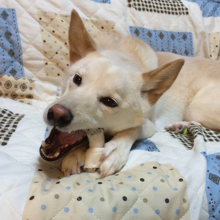 A211bb7c 9618 417c 838d 7799346f86d4