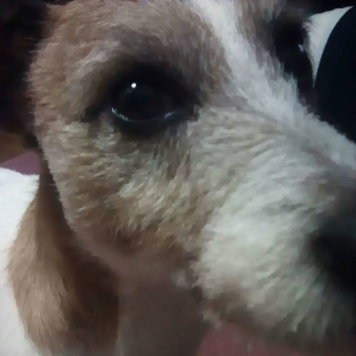 A212514a ca8b 466f b3b3 0dba6f9ee894