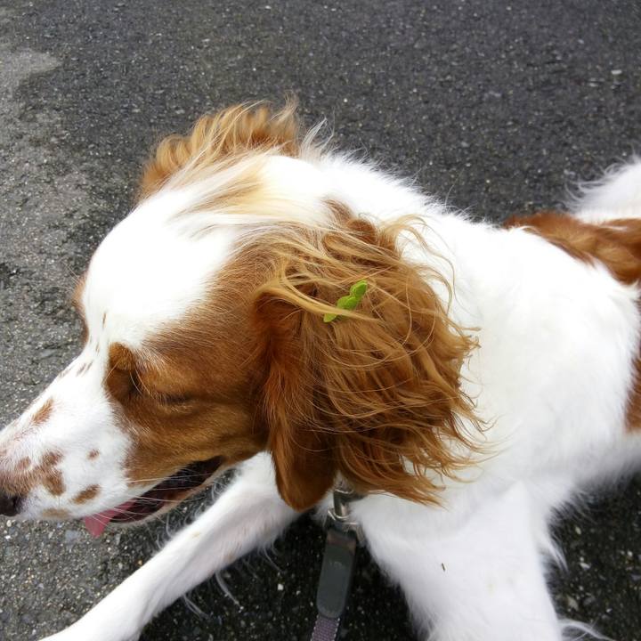 A2126be7 5edd 4cd3 92dd b4fab31b1d87