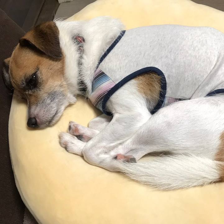 A2128dbe c665 4c03 9758 dcea456f54e7