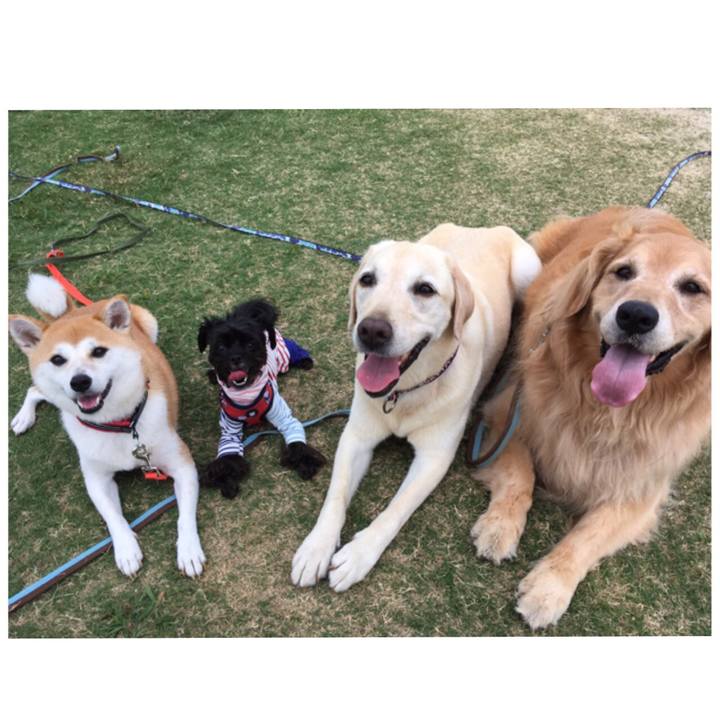 A212a1a9 05fa 4f31 b4af 3defa3928c7a