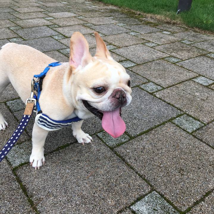 A212fad8 5006 484c 9bc1 69f266785093