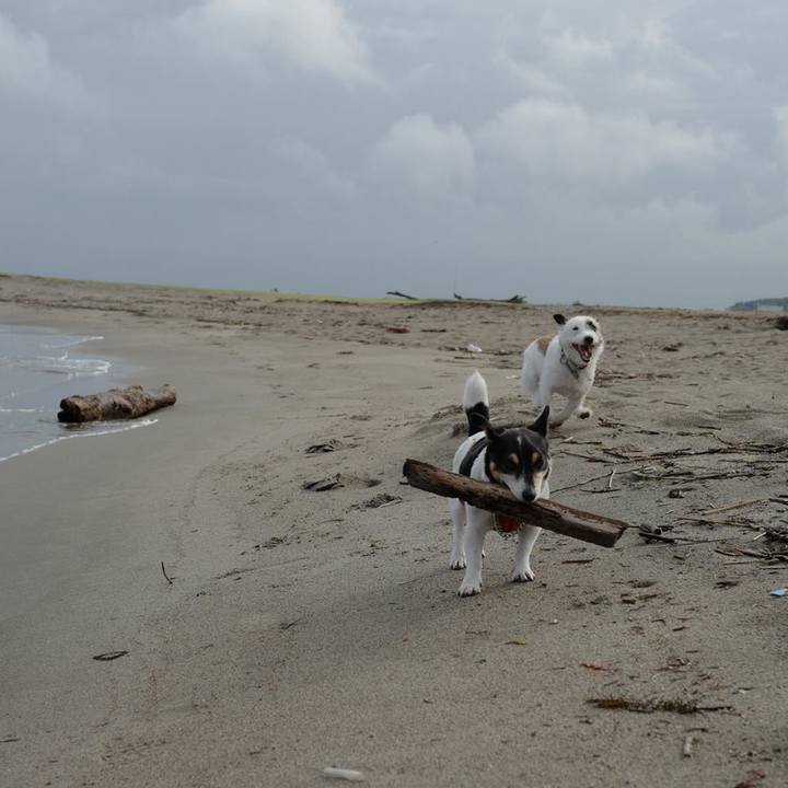 A212fedb d4d5 4fcf 9bcc cf160622de64