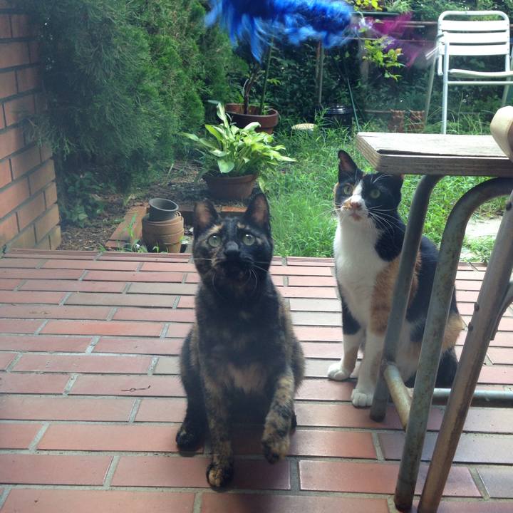 A2132f9b f65d 4fdc b657 6b7fe4edbae2