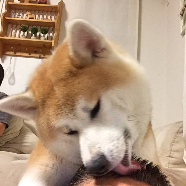 A2141808 349d 4988 92d4 6751dc13a810