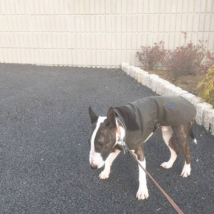 A2142c31 d95c 4b2e b750 33797171b94b