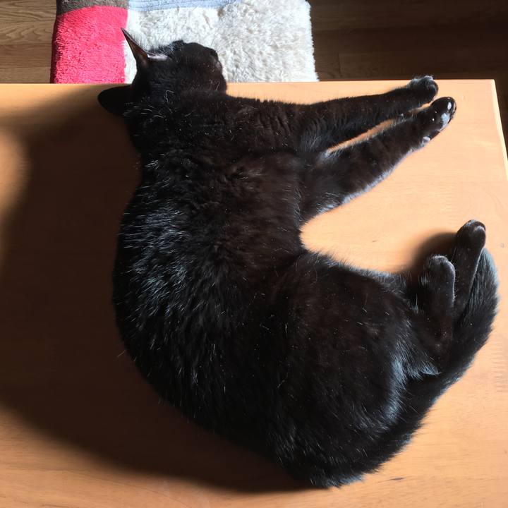 A214941b 88d6 4f22 9f9e 9a20431f27b2