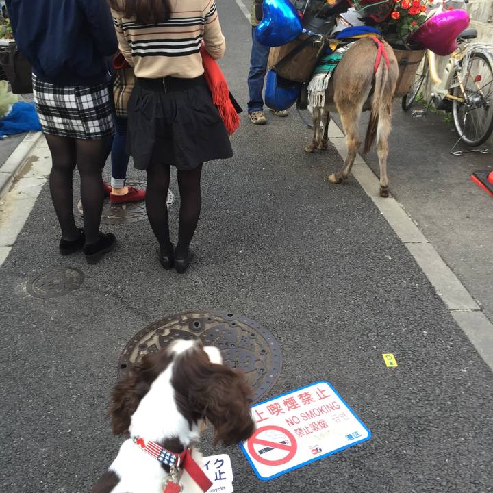 A214a870 84b4 4f2b 97a3 c8dcba9c7059