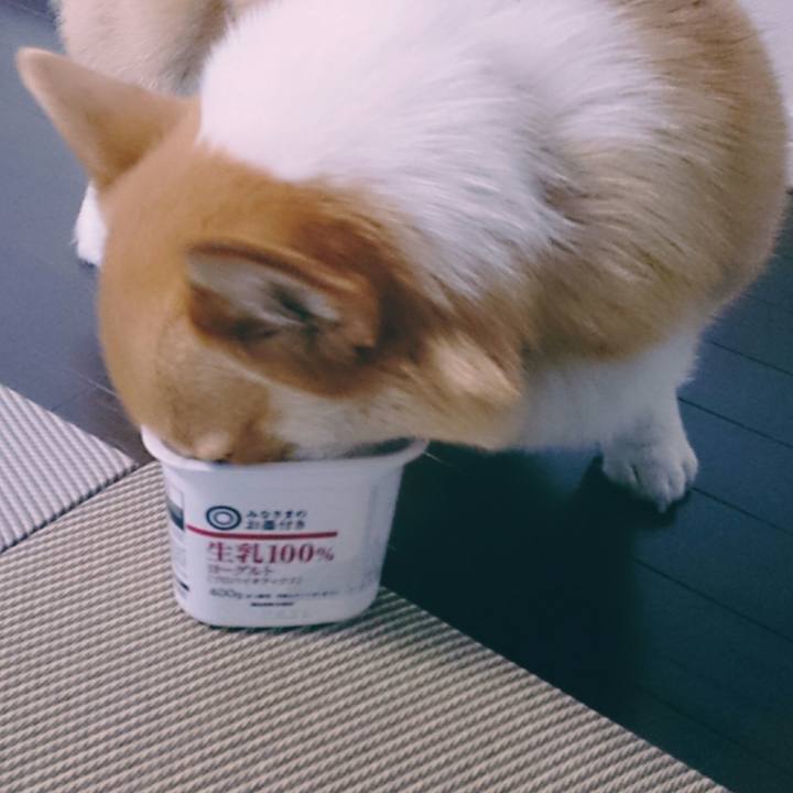 A214cd36 4518 47ae abf6 6312706fc896